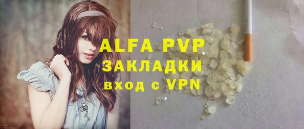 стафф Алексин