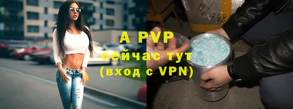 стафф Алексин
