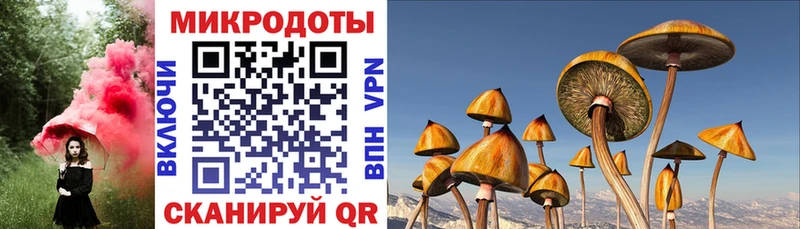 Псилоцибиновые грибы прущие грибы  цены наркотик  Нижний Ломов 